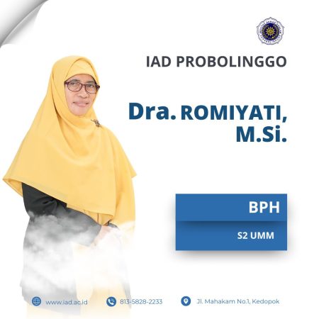 Dra. Romiyati, M,Si.